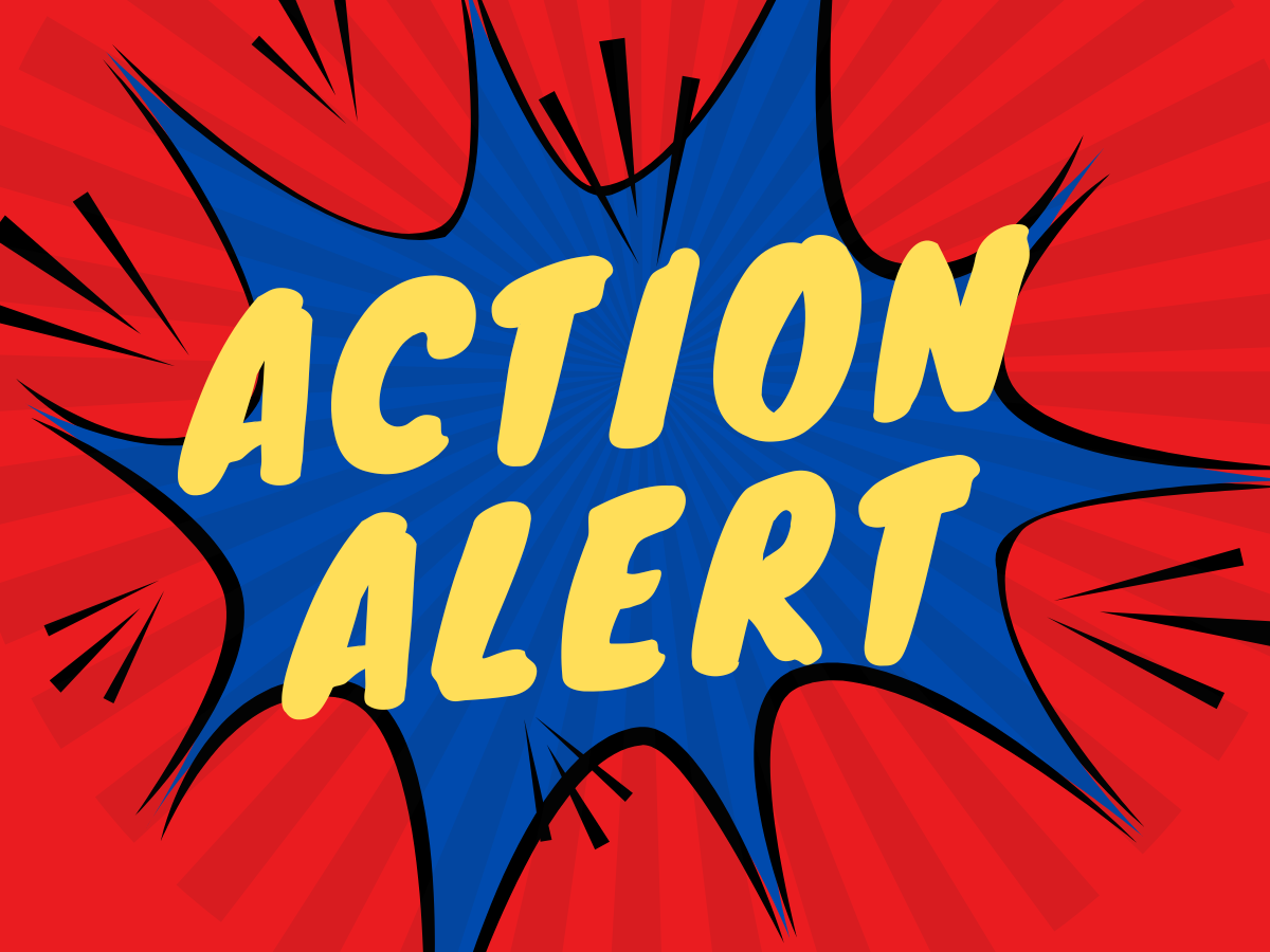 Photo for ACTION ALERT: NNOC-NV St. Mary's Nurses on Strike