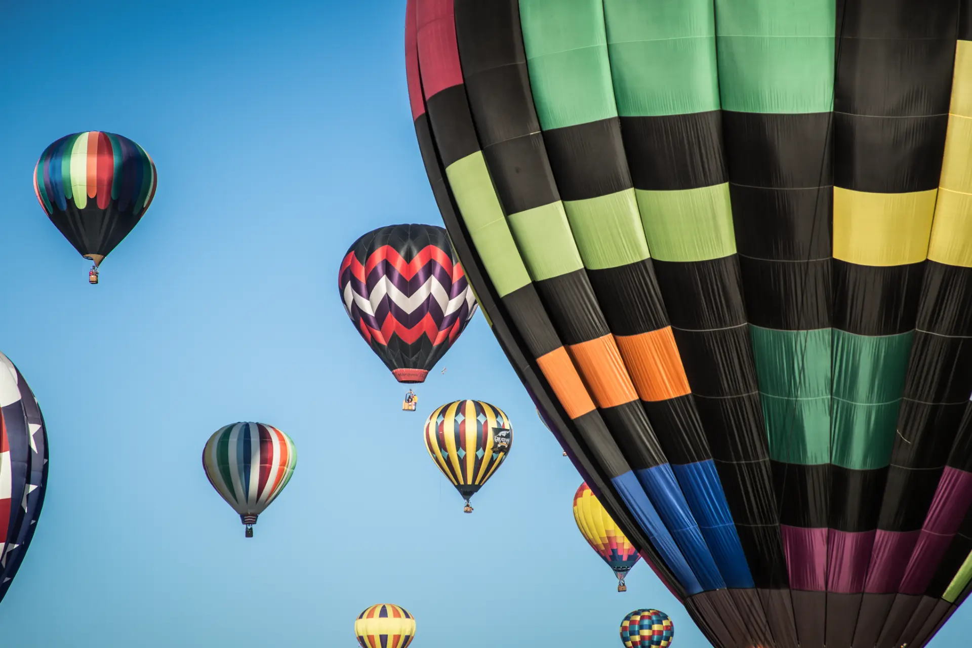 Photo for WashoeDEMS at the Great Reno Balloon Races
